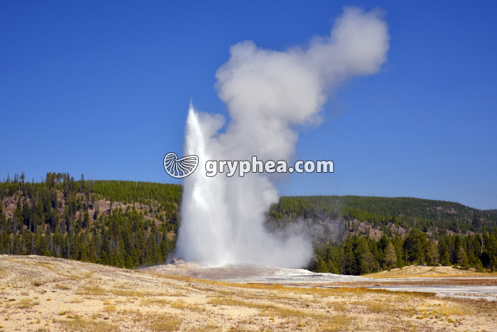 Geyser Old Faithful (Yellowstone NP, Wyoming, USA) - gryphea.org